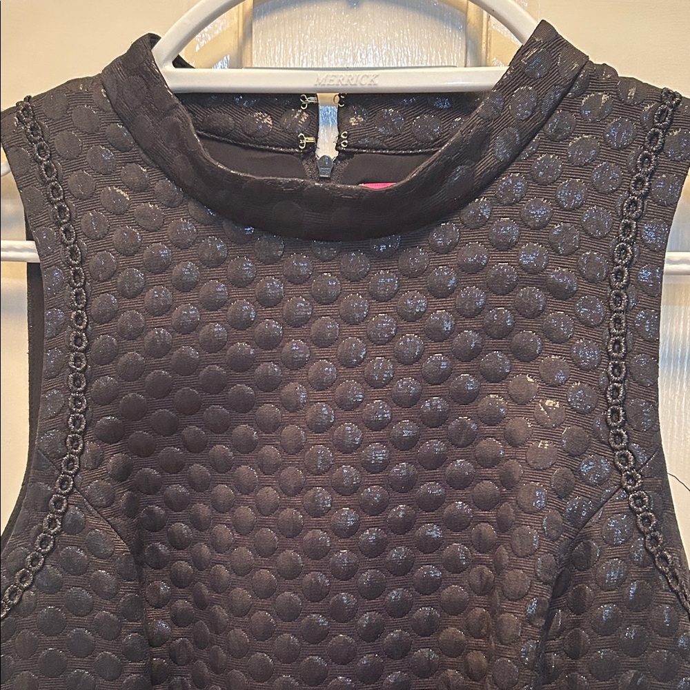 Black Textured Sleeveless Fit-and-Flare Dress Lilly Pulitzer Size 10 - Picture 5 of 6